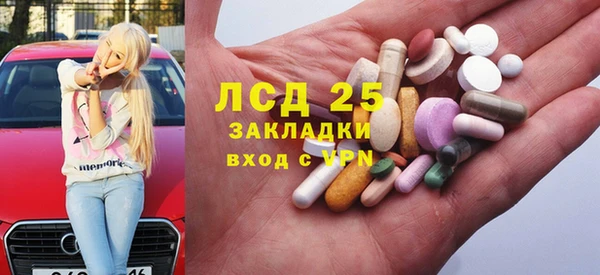 прущие грибы Алексин