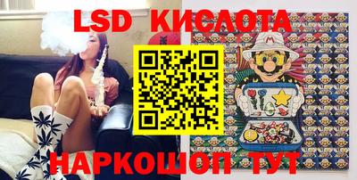 шишки Камышлов