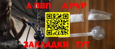 шишки Камышлов