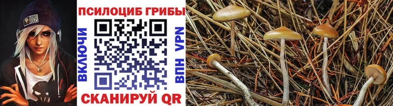 что такое наркотик Мичуринск Галлюциногенные грибы Cubensis