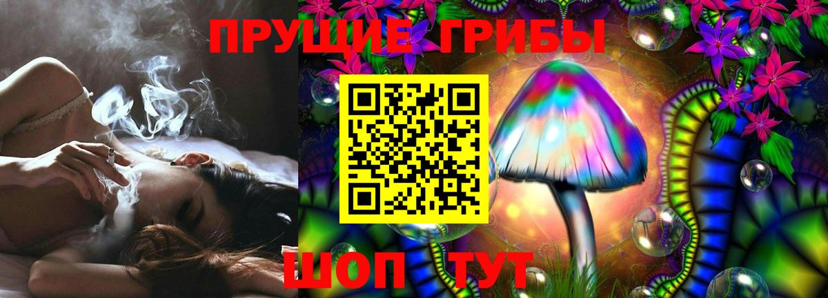 Мичуринск  Галлюциногенные грибы мухоморы  Вход с VPN  Псилоцибиновые грибы Cubensis 